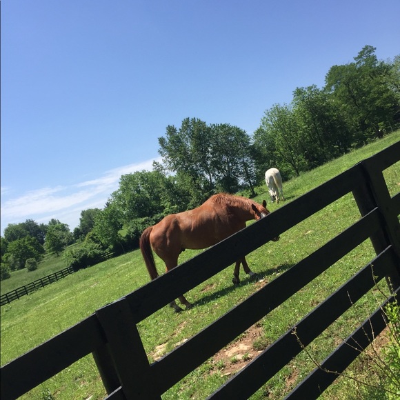 Meet the Posher Other - Meet your Posher, Gracie